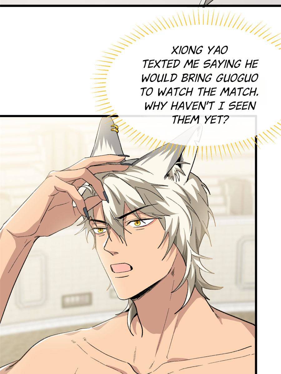 81490466 900 1200 113601